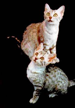Khepri and her daughter