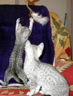 Nikita Boy and Girl