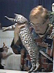 The Spotted thing - Spots - Spots - Spots