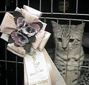 Ghosrwriter doesn't look too thrilled with his rosette!